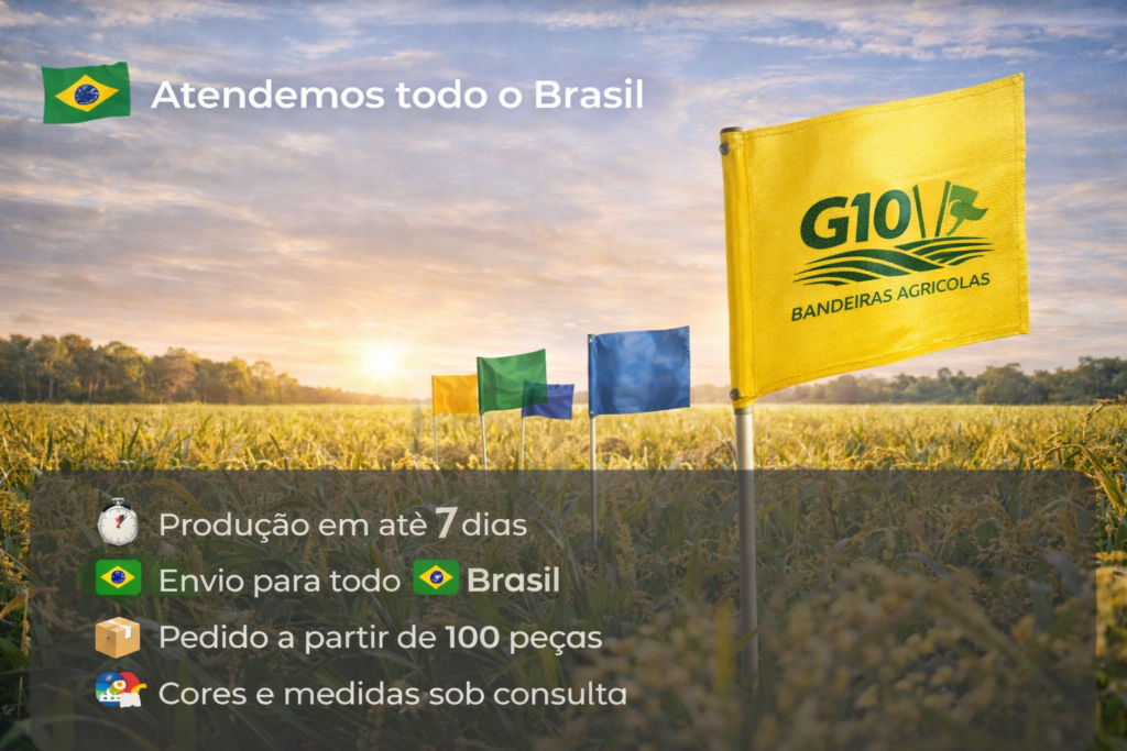 chatgpt image 1 de abr. de 2026, 16 43 07